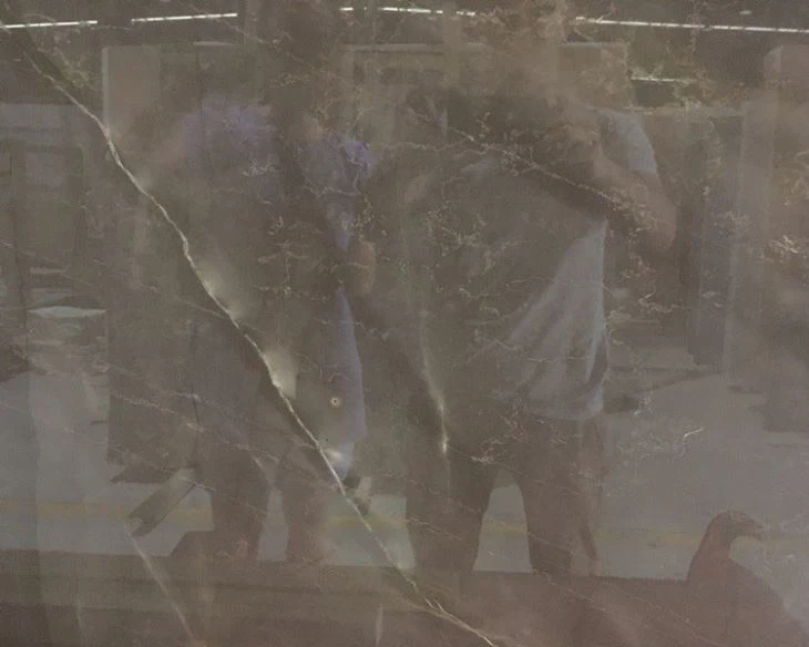 Bronze Armani Marble Slabs