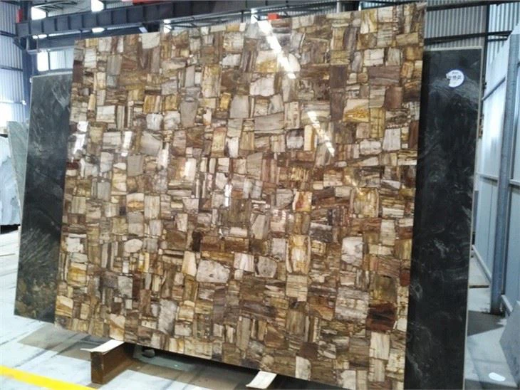 Semi Precious Stone Petrified Wood Slab Semi Precious Stone Petrified Wood Slab