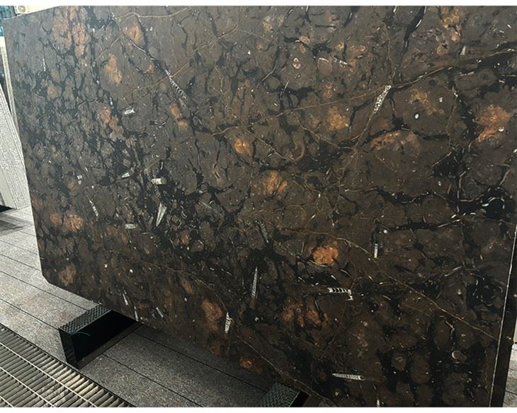 Brown Fossil Marble